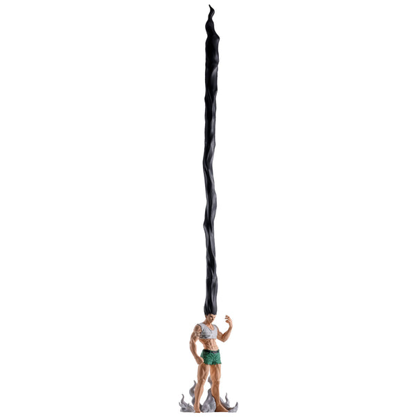 WM_29178_HUNTERxHUNTERFLGONFIG