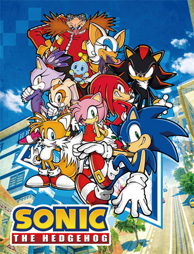 Sonic the Hedgehog Large Group Throw Blanket GE57717